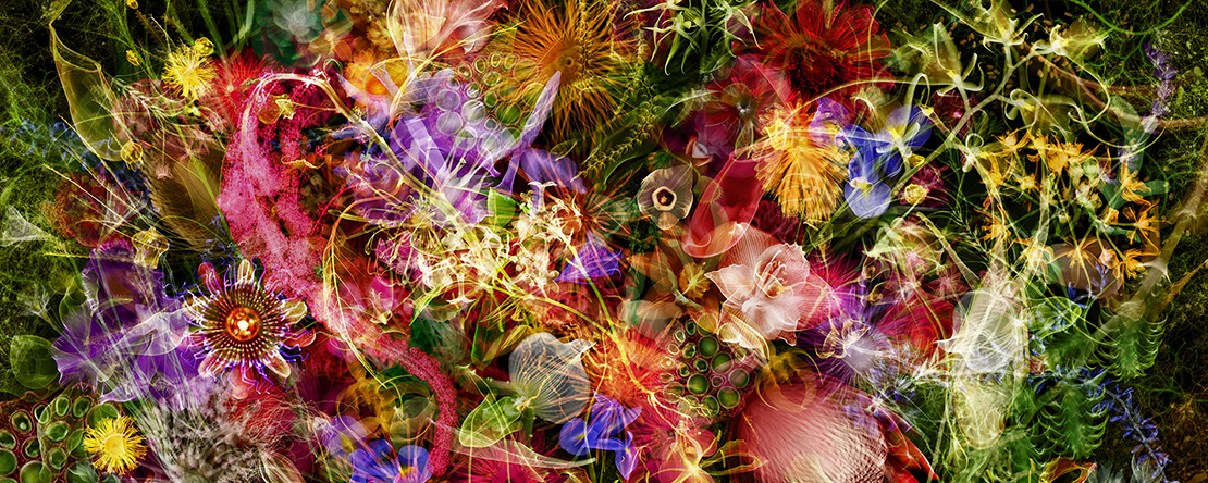 BA Flower